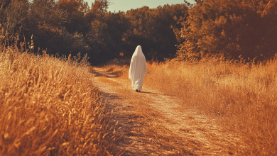 Photo of The Truth of Death and Crossing the Third Dimension